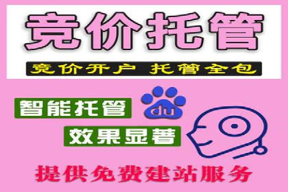 案例分享：SEM托管代运营策略