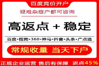 解析sem代运营公司经典案例：如何实现ROI最大化